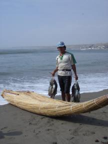 Caballito de totora